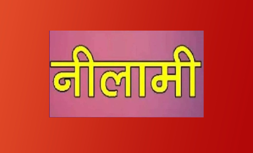 सरायपाली : आम फलन के लिए नीलामी 06 मार्च को - CG Sandesh