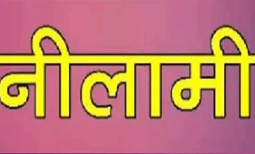 महासमुंद : आम फलन के लिए नीलामी 06 मार्च को - CG Sandesh