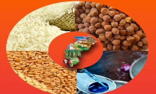 छत्तीसगढ़ में 62 लाख 69 हजार राशन कार्डधारियों ने किया नवीनीकरण के लिए ऑनलाइन आवेदन