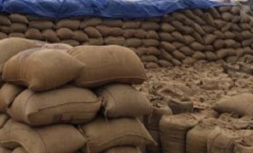 छत्तीसगढ़ में अब तक किसानों से 144.92 लाख मीट्रिक टन धान की समर्थन मूल्य पर रिकार्ड खरीदी