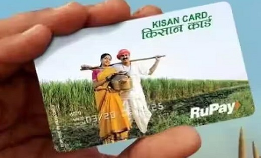 आदिवासी अंचल में शत-प्रतिशत किसानों का केसीसी बनाने विशेष अभियान शुरु, किसान सम्मान निधि योजना में हुआ पंजीयन