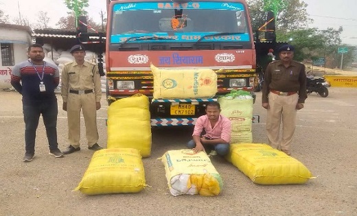 ट्रक से हो रही थी गांजे की तस्करी, पुलिस ने 72 लाख से ज्यादा... - CG Sandesh