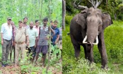 सूरजपुर में फिर से हाथियों का आतंक,पति-पत्नी पर किया हमला,मौ... - CG Sandesh