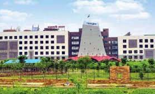 मलाशय में छुपाया 6 किलो सोना, कीमत 4 करोड़, एयरपोर्ट से बच नि... - CG Sandesh