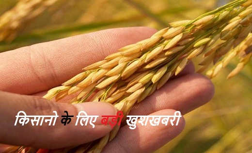 कृषक उन्नति योजना के तहत किसानों के खाते में आएगी राशि