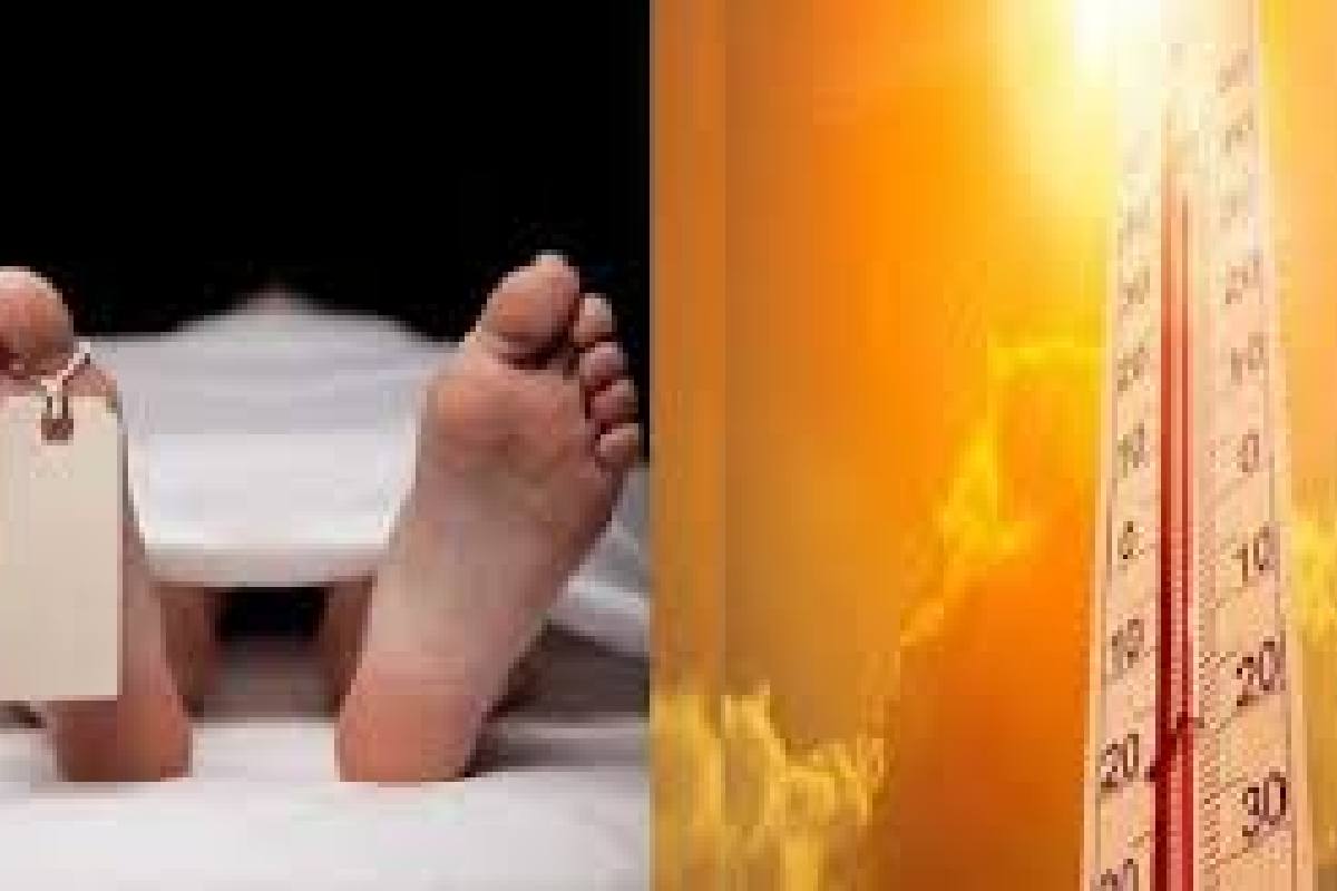 सरायपाली : 3-4 दिन पूर्व से लगी थी लू, मौत - CG Sandesh