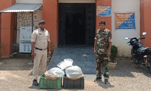 सिंघोडा पुलिस द्वारा अवैध शराब निर्माण पर बड़ी कार्यवाही - CG Sandesh
