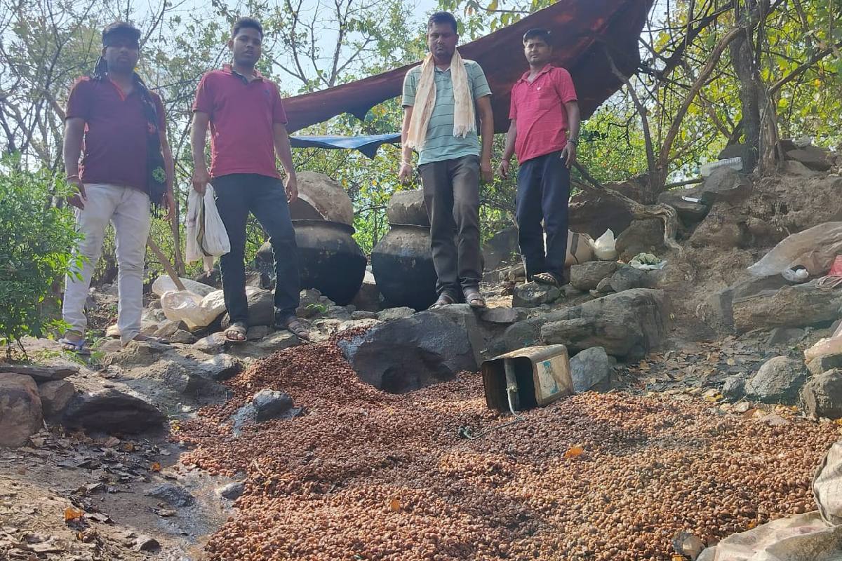 सरायपाली : शिशुपाल पर्वत से लगे पहाड़ी में चल रहा था अवैध शरा... - CG Sandesh