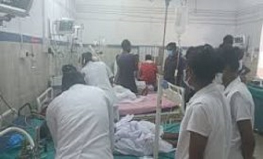 सरहुल महोत्सव में मधुमक्खियों हमले से मची अफरा-तफरी, 50 से ज... - CG Sandesh