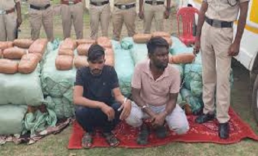 गांजा तस्कर पर पुलिस का शिकंजा - CG Sandesh