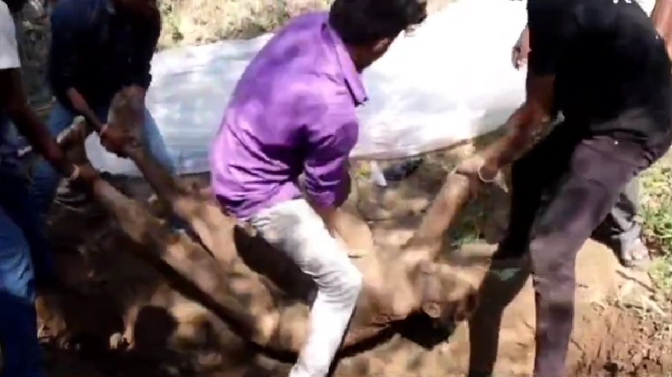 बागबाहरा : जोंक नदी किनारे बनी कब्र से निकाली गई लाश, शरीर प... - CG Sandesh