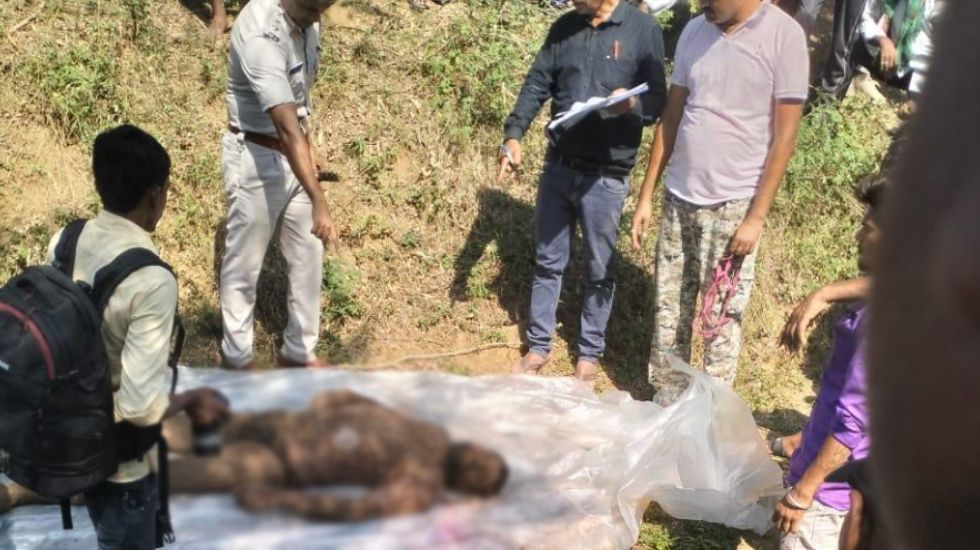 बागबाहरा : तीन पर हत्या का मामला दर्ज, धान कटाई का पैसा नहीं... - CG Sandesh