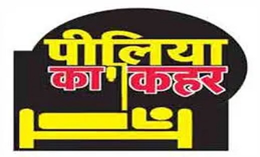 न्यायधानी में पीलिया का प्रकोप...चार दिनों में मिले 25 से अध... - CG Sandesh