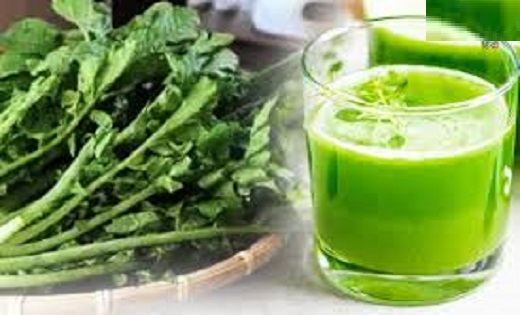 Radish Leaves Juice Benefits: सैकड़ों रोगों की एक दवा है मूल... - CG Sandesh