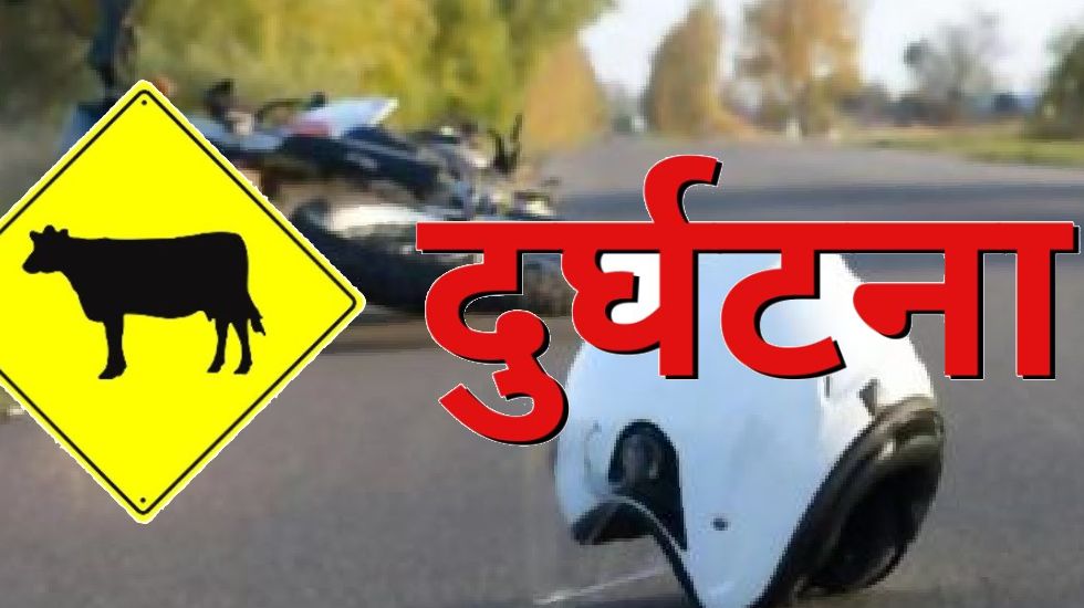 पिथौरा : मवेशी से टकराई मोटरसायकिल, चालक की मौत. - CG Sandesh