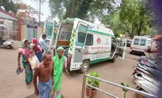 पोलिंग बूथ पर मतदाताओं पर मधुमक्खियों ने किया हमला, 5 लोग घा... - CG Sandesh