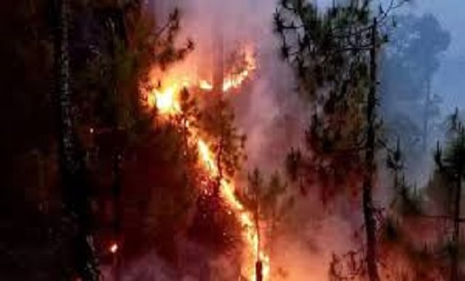 पहाड़ों में आग ने मचाया तांडव, पिथौरागढ़ में 106 जगह धधके जं... - CG Sandesh