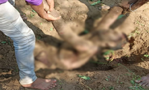 मर्डर कर नदी किनारे दफनाया था शव...महासमुंद में हत्या के मामले में पुलिस ने एक नाबालिग समेत 4 को किया गिरफ्तार