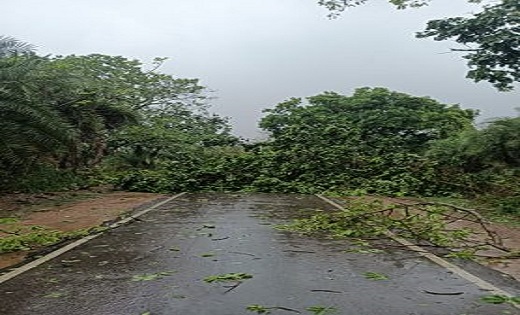 छत्तीसगढ़ के कई जिलों में आंधी तूफान के साथ हुई बारिश ,नेशनल ... - CG Sandesh