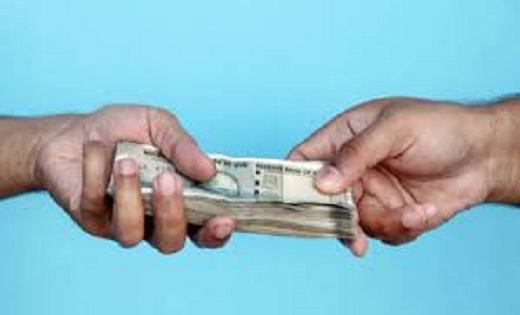 50 हजार की होगी कमाई...8000 में शुरू करें ये बिजनेस - CG Sandesh