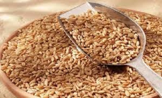 Wheat Price : किसानो की हुई मौज, गेहूं के रेटों में हुई बढ़ो... - CG Sandesh