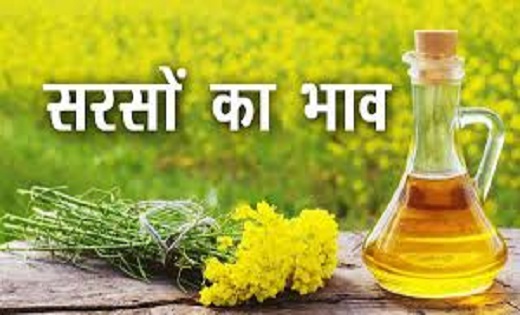Mandi Bhav : सरसों के रेट में आई 1600 रुपए की गिरावट जानिए न... - CG Sandesh