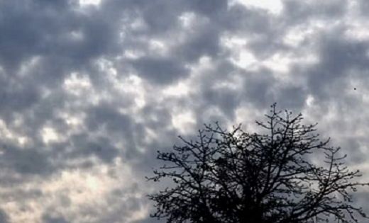 CG Weather Update : बदला मौसम का मिजाज, इन जिलों में सुबह से छाए बादल, हो सकती है भारी बारिश…
