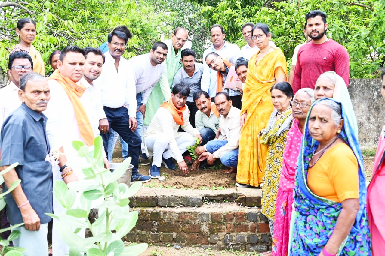 एक पेड़ मां के नाम' अभियान का हिस्सा बनकर लगाएं पेड़, पर्याव... - CG Sandesh