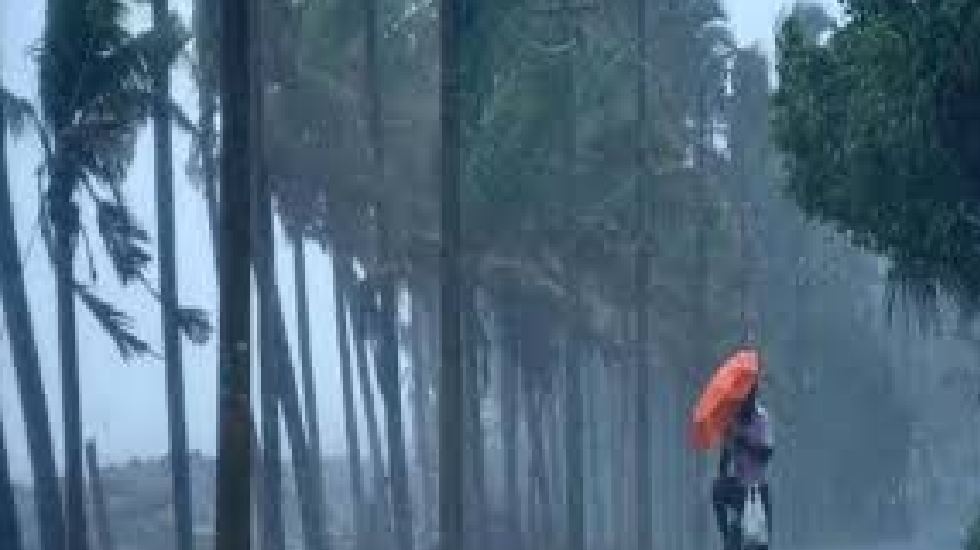 महासमुंद : जिले में अब तक 85.4 मिलीमीटर औसत वर्षा, बसना में ... - CG Sandesh
