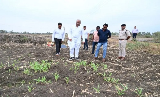 बेटे ने पिता को उतारा मौत के घाट, टंगिया से किया वार; शादी क... - CG Sandesh