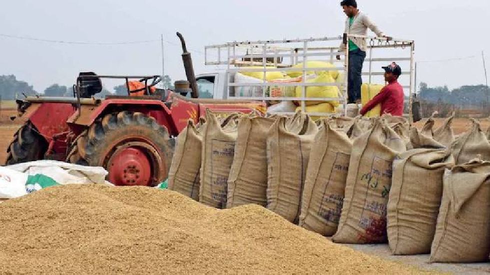 CG : धान खरीदी में लाखों का घोटाला, प्रभारी और कंप्यूटर ऑपरे... - CG Sandesh