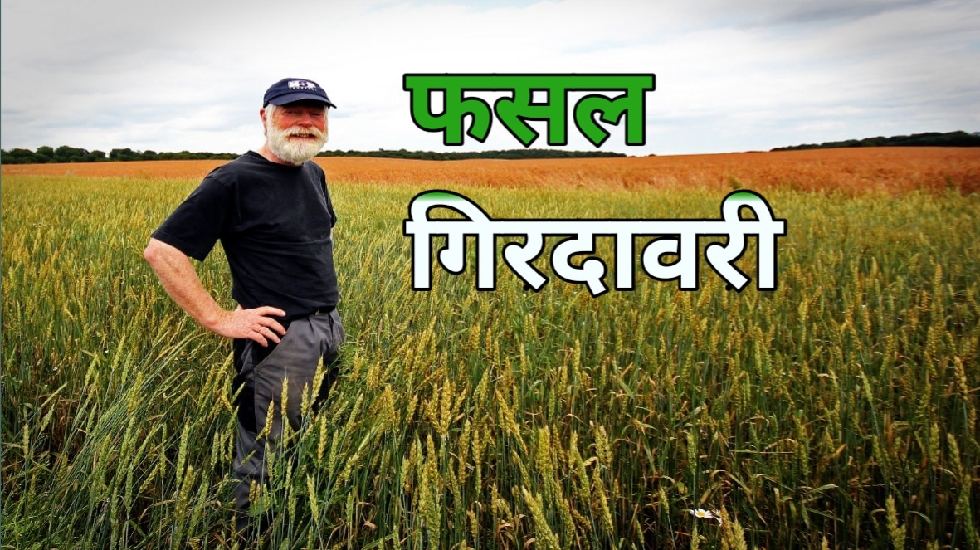 छत्तीसगढ़ में होगी जियो-रेफ्रेंसिंग से ई-गिरदावरी, भ्रष्टाचार... - CG Sandesh