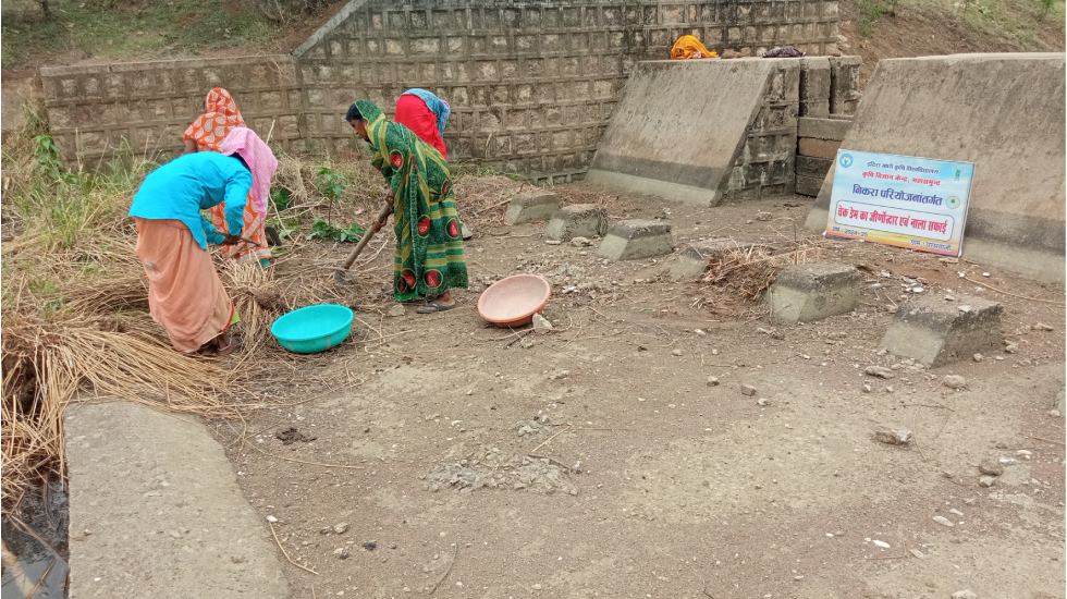 महासमुंद : कृषि विज्ञान केन्द्र द्वारा निकरा ग्राम परसवानी म... - CG Sandesh
