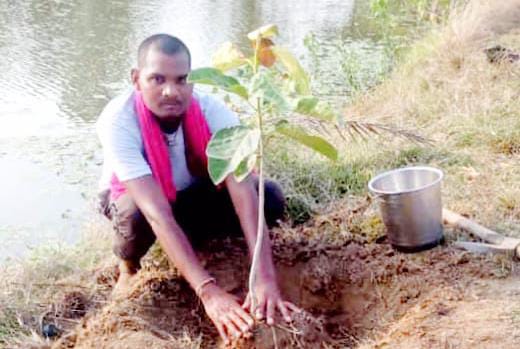 महासमुंद : पेड़ों के संरक्षण को लेकर लोगों को जागरूक कर रहे ... - CG Sandesh