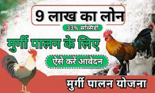  सरकार दें रही मुर्गी पालन के लिए  9 लाख तक का लोन...ऐसे करे... - CG Sandesh