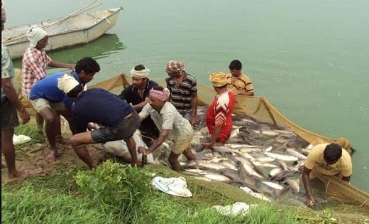 मछली पकड़ते पाए गए तो हो सकती है जेल