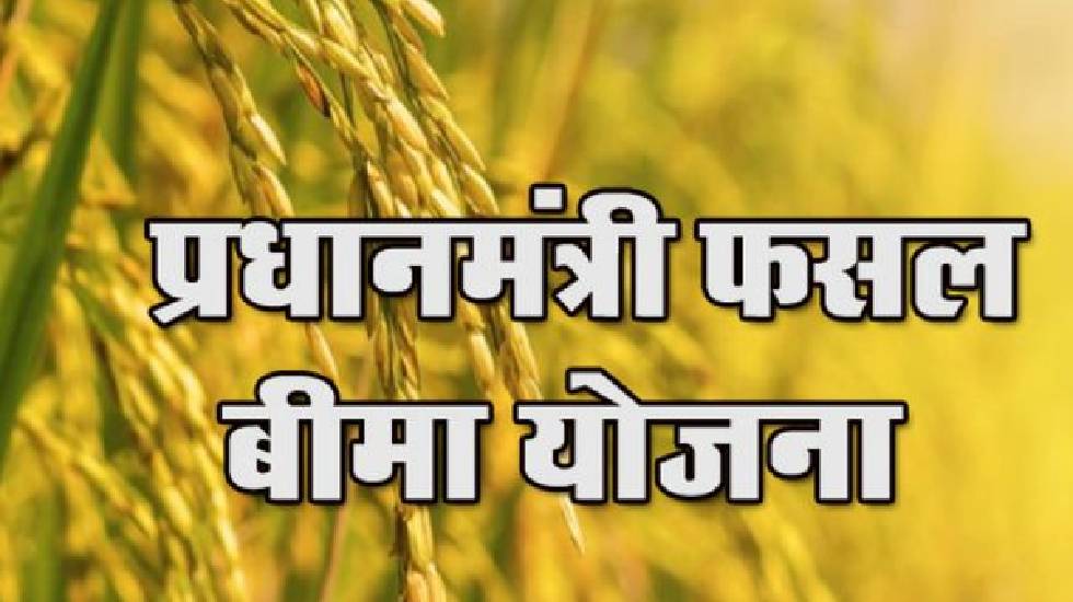 इस दिन तक करा सकते हैं खरीफ फसलों का बीमा, जानें प्रति एकड़ क... - CG Sandesh