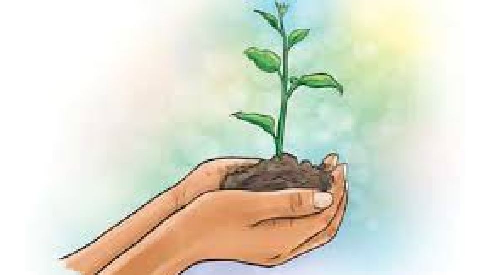 सीएम साय की अपील : स्कूल में बच्चे और शिक्षक ’एक पेड़ अपनी मा... - CG Sandesh