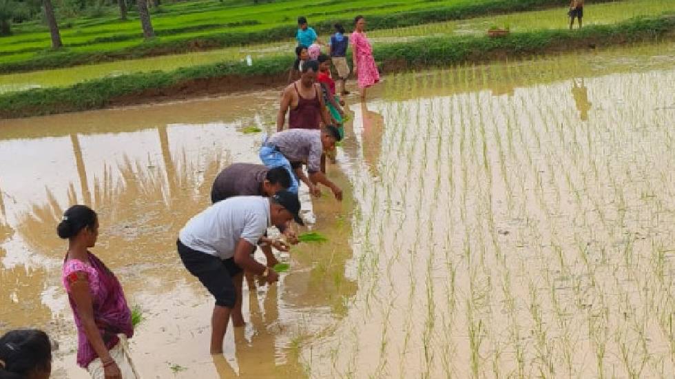 CG News : दोगुना उत्पादन और लागत में कमी के चलते किसान अपना ... - CG Sandesh