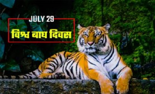 वर्ल्ड टाइगर डे: सेंट पीटर्सबर्ग टाइगर समिट के लक्ष्य भारत न... - CG Sandesh