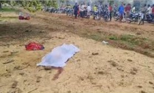 रामानुजगंज के दो गांवों में हाथियों के दलों ने मचाया उत्पात ... - CG Sandesh
