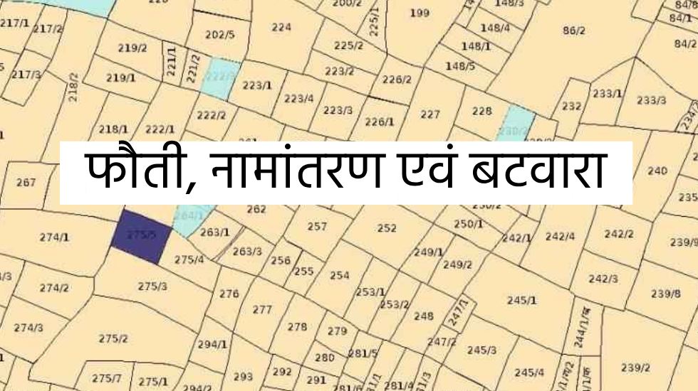 छत्तीसगढ़ : फौती, नामांतरण एवं बटवारा, जैसे प्रकरणों के निराक... - CG Sandesh