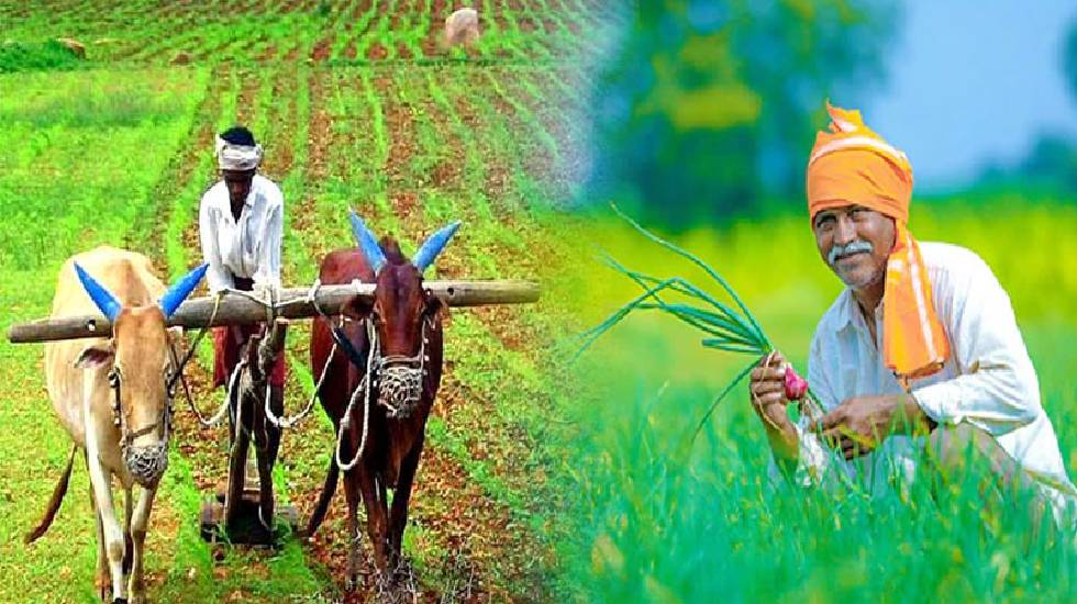 किसानों के लिए बजट में क्या है ख़ास... कृषि और संबंधित क्षेत्... - CG Sandesh