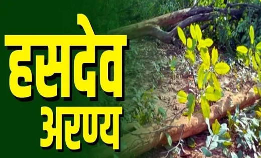 लोकसभा में हसदेव अरण्य मामले की उठी गूंज, वन विभाग ने 50 लाख से अधिक वृक्षारोपण की दी जानकारी