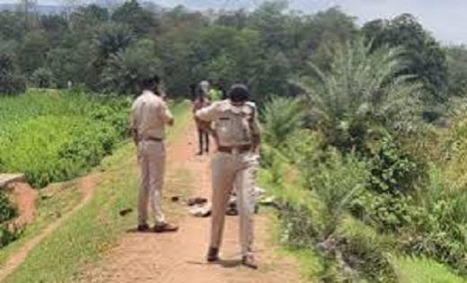 दिल दहला देने वाली घटना : कोरबा में कई टुकड़ों में मिली युवक ... - CG Sandesh