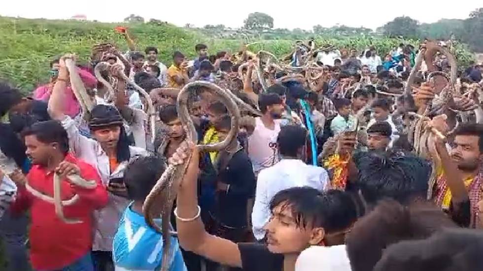 साँपों को किया Kiss... यहाँ लगता है सांपों का यह अद्भुत मेला - CG Sandesh