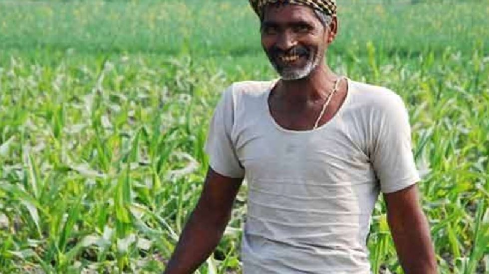 किसानों को आधी कीमत पर मिलेगी खाद... सरकार शुरू करने जा रही ... - CG Sandesh