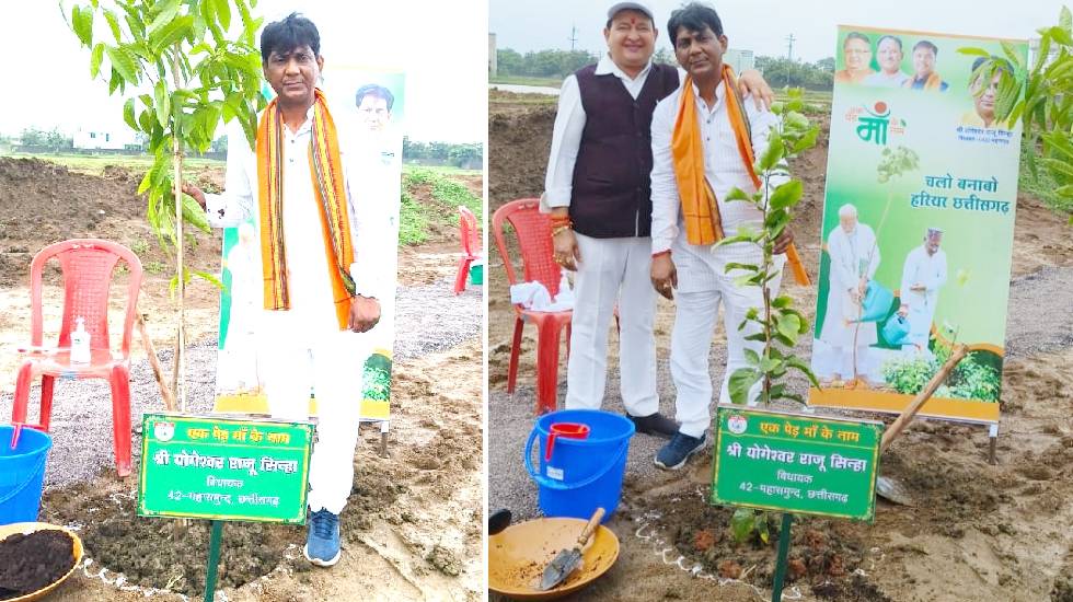 महासमुंद : विधायक ने विधानसभा आवासीय परिसर में किया पौधा रोप... - CG Sandesh