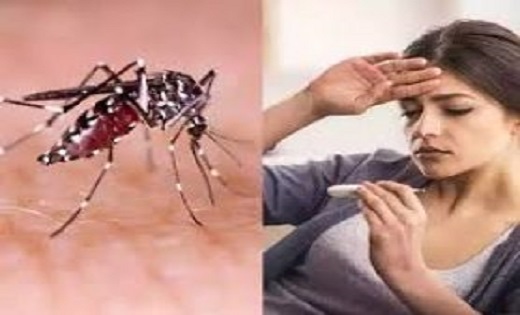 टायफायड, डायरिया, डेंगू और मलेरिया से बचाव के लिए लोगों से सावधानी बरतने की अपील,बीमारियों से बचने करें ये उपाय