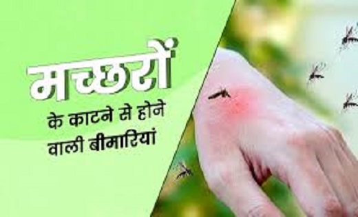  मच्छरों से फैलने वाली ये है सबसे गंभीर बीमारी, जानें कैसे ब... - CG Sandesh